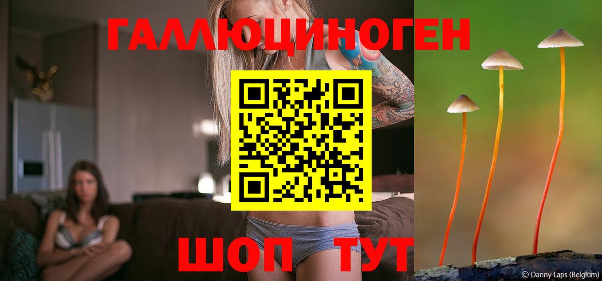 Псилоцибиновые грибы ЛСД Кандалакша