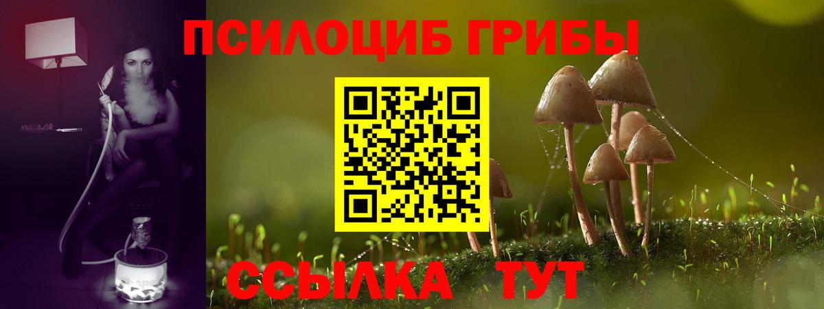 Псилоцибиновые грибы прущие грибы  Вход с VPN  Кандалакша 